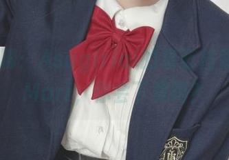 随便聊聊：Asagiriai的碧蓝档案IochiMarī，你会下载吗？