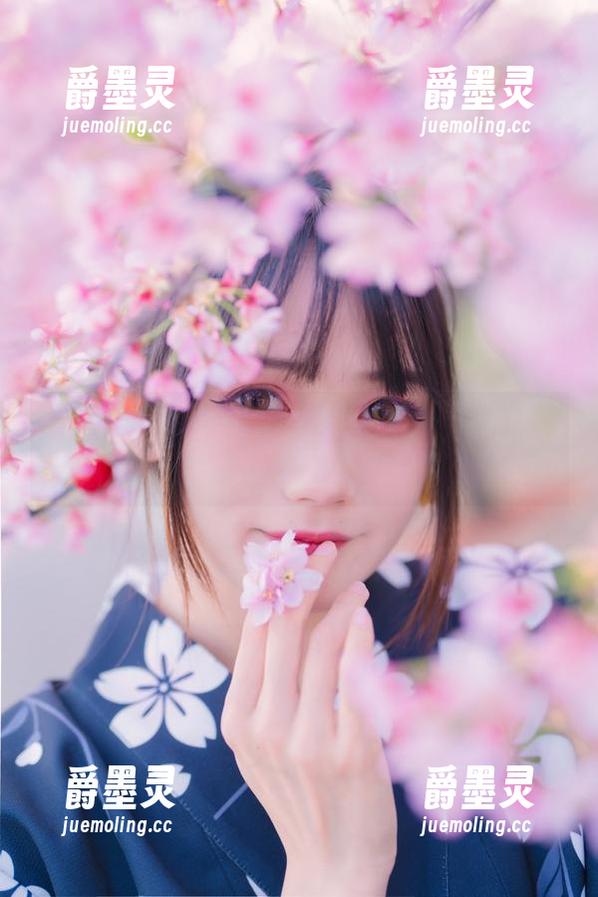 在兔子Zzz不吃胡萝卜的清欢里，我就躲在这张图片后面乐呵呵。